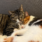 Profielfoto voor Daisy Z