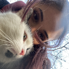 Profilbild für Sandra D