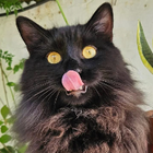 Avatar for Rebecca (Beck) H