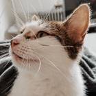 Profilbild für Anika R