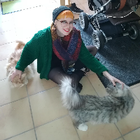 Profilbild für Selina K