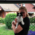 Profilbild für Lisa G