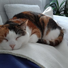 Profilbild für Claudia A