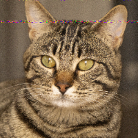 Avatar pour Mathilde R