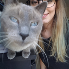 Profilbild für Louisa S