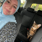 Profilbild für Amina M