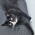 Profilbild für Aline A