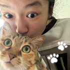 Profilbild für Huayu Z