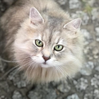 Profilbild für Ellen D