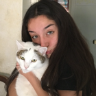 Profilbild für Paola P