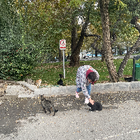 Profilbild für Fatemeh S