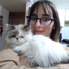 Profilbild für Maylen P