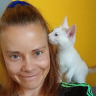 Profilbild für Amelie F