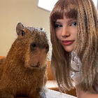 Profilbild für Sina R