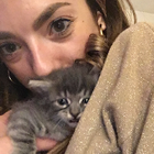 Profielfoto voor Desiderio T