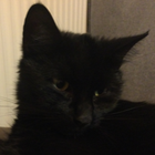 Profilbild für Doris F