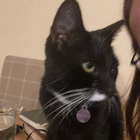 Avatar for Anna-Maria S