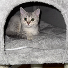 Profilbild für Calliope C