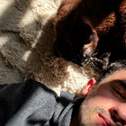 Profilbild für André V