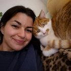 Profilbild für Rabia V