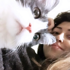 Profilbild für Begüm K