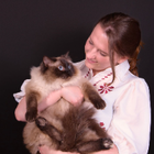 Profielfoto voor Lisa W