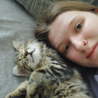 Profilbild für Liv H