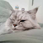 Avatar for Soojung K