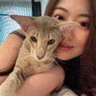 Avatar for Shiyang H