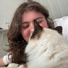 Profilbild für Sarah S