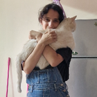 Profilbild für Scheimaa Z