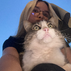 Profilbild für Yasmin S