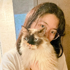 Profielfoto voor Yixin A