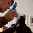 Profilbild für Julia G