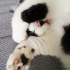 Profielfoto voor Noelia A