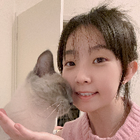 Profilbild für Jing D