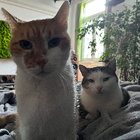 Profilbild für Marcela H