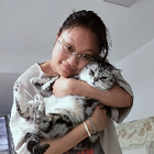 Avatar for Qingling H