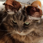 Profilbild für Anja F