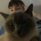 Profilbild für Nico G