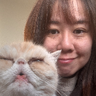 Avatar for Kitty L