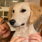 Profilbild für Felicitas W