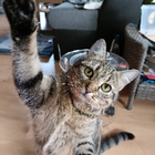 Profilbild für Nina M