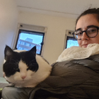 Profielfoto voor Nicolette B