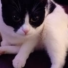 Avatar for Melanie C