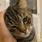 Profilbild für Umme S