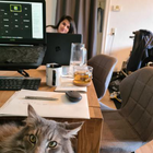 Profilbild für Stephie N