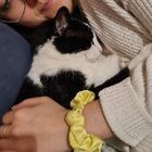 Profilbild für Sofia M