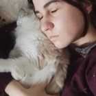 Profilbild für August C