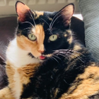 Profilbild für Oliver F
